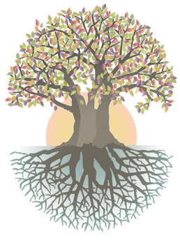 Strong Roots - Zero to Thrive
