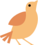 Bird - Logo