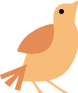 Bird - Logo