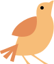 Bird - Logo